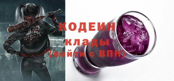 индика Ладушкин