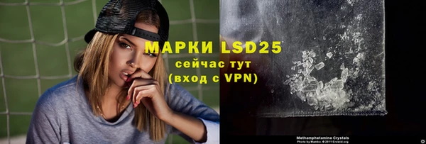 индика Ладушкин
