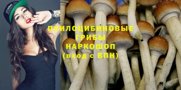 прущие крисы Краснослободск