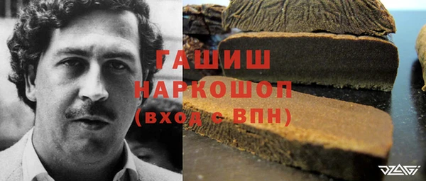 дмт Лагань