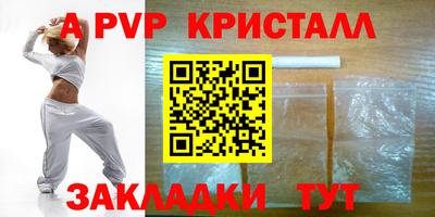 мдпв Кингисепп