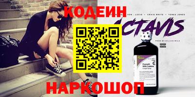 мдпв Кингисепп
