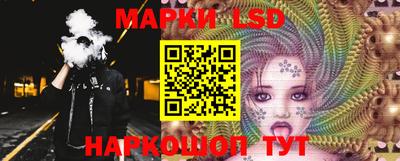 мдпв Кингисепп