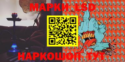 мдпв Кингисепп