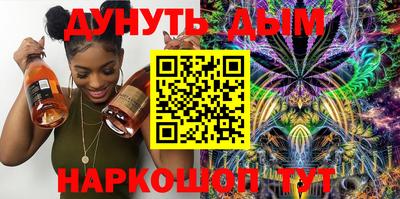 мдпв Кингисепп