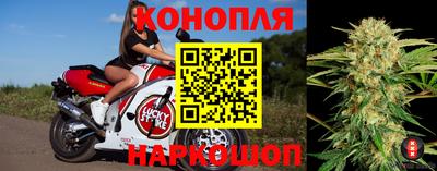 бошки Кимры