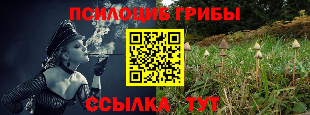Галлюциногенные грибы MAGIC MUSHROOMS Лянтор