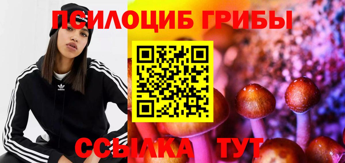 Галлюциногенные грибы Psilocybe  Вход с VPN  Лянтор 