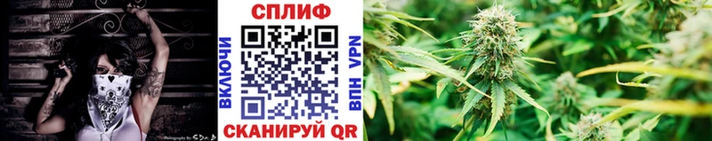 Конопля индика  Лянтор 